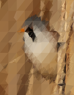 Bearded reedling (2000 triangles)